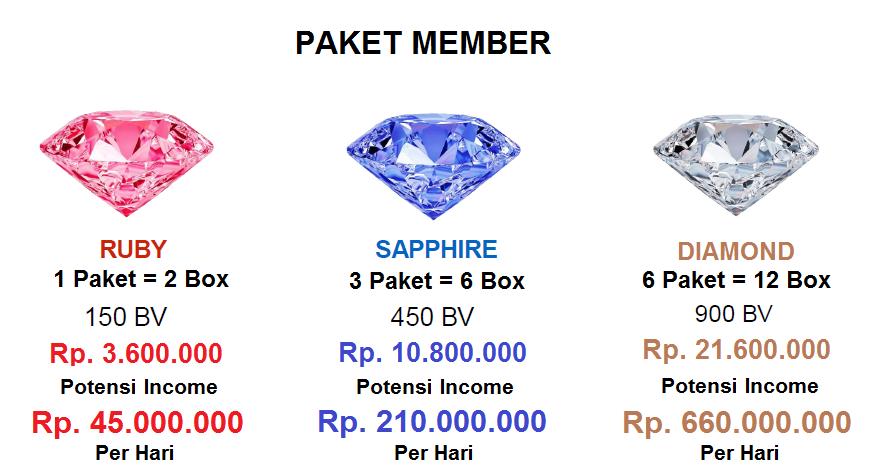 Peluang bisnis dengan kami