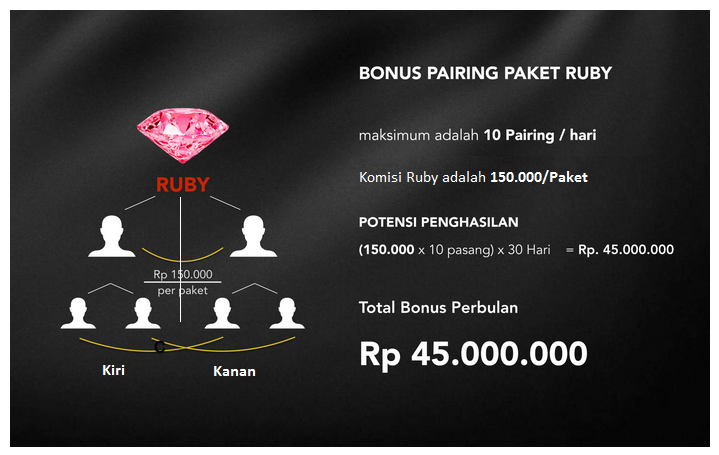 Bonus Pairing Ruby